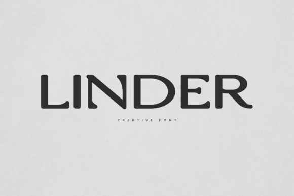 Linder Display Font for Modern Web Design