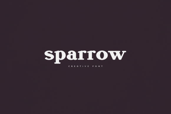 Sparrow Display Font for Stronger Campaign Typography
